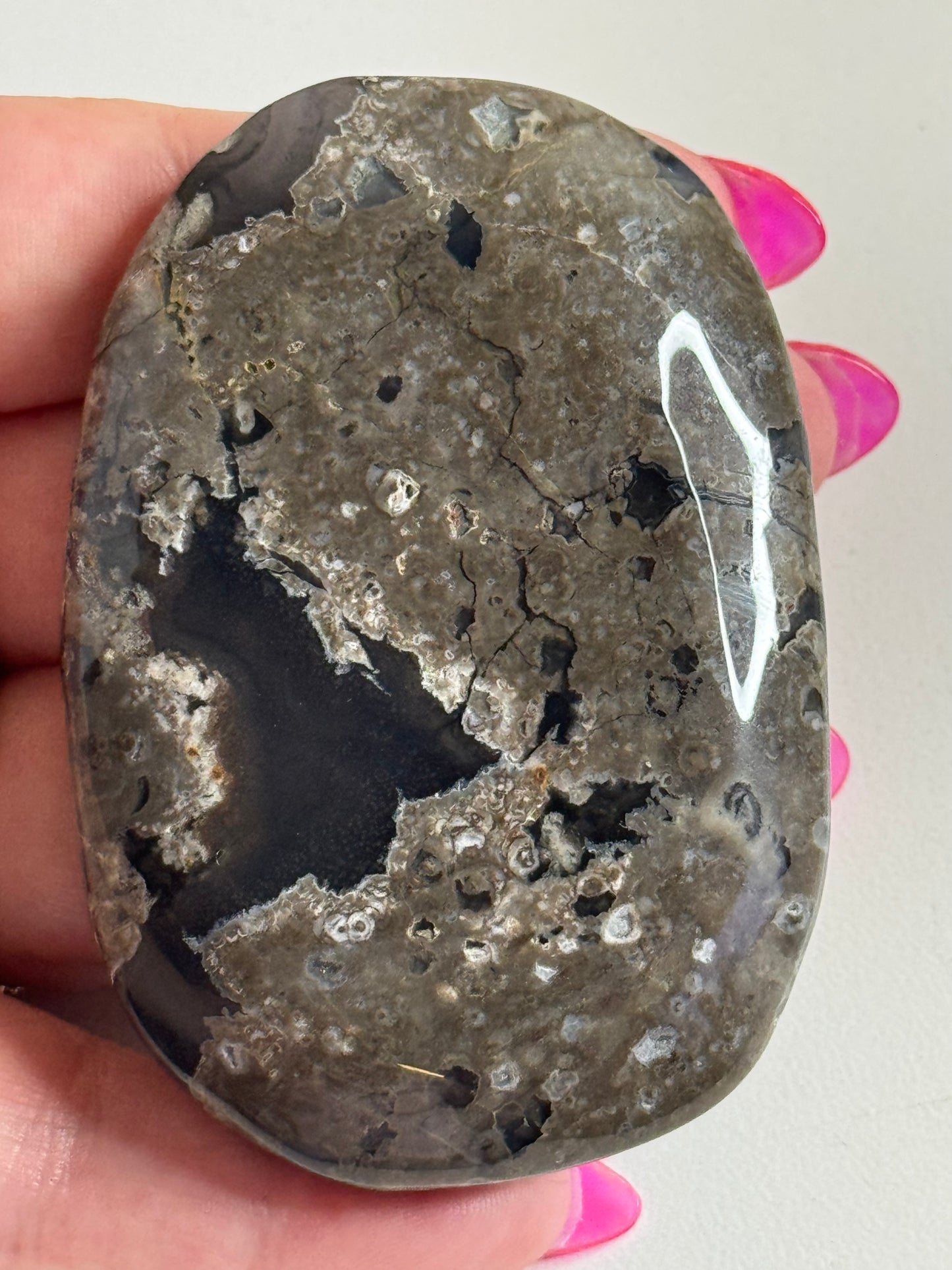 Volcano Agate Palm-stone - Low grade