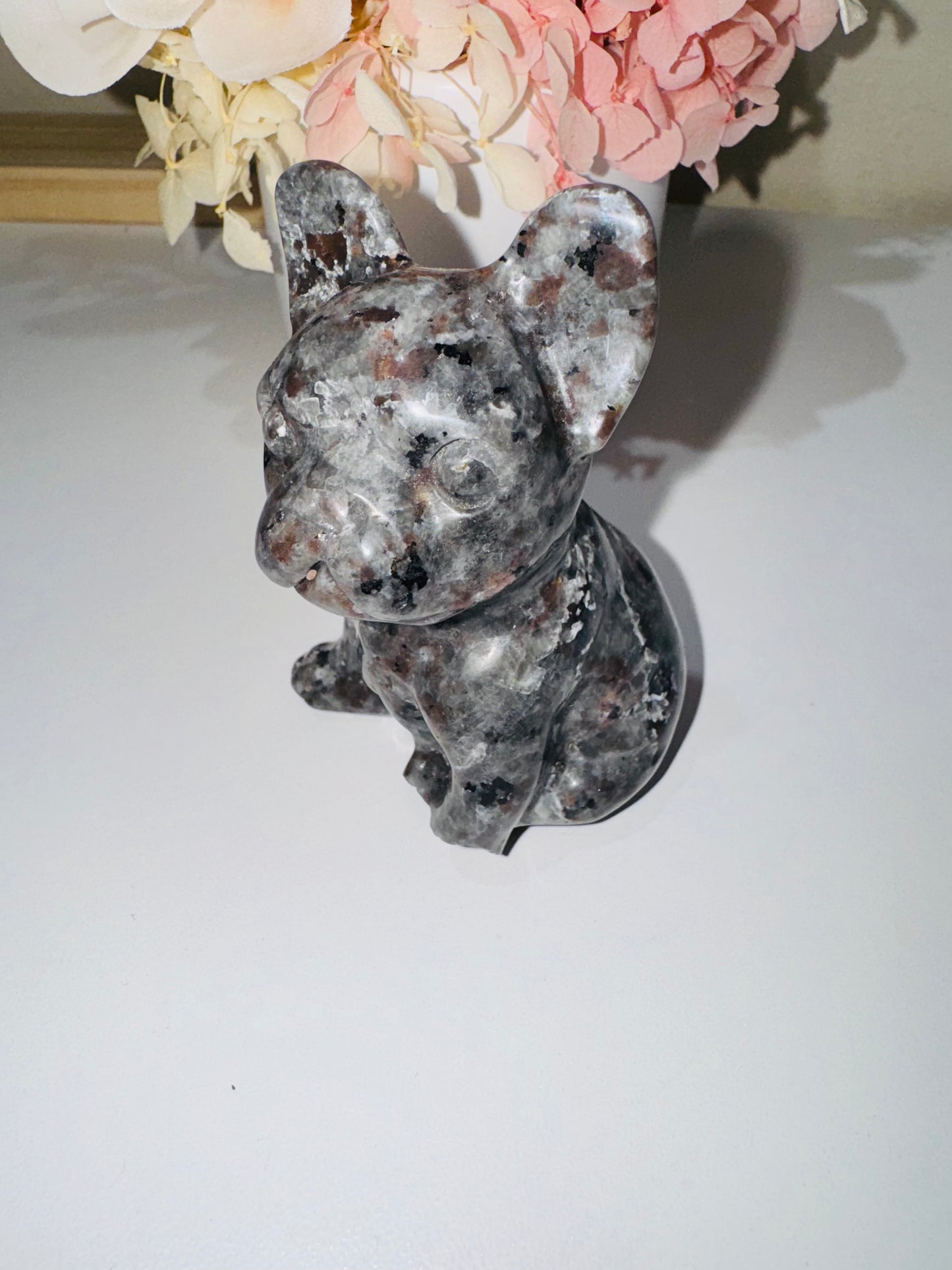 Yooperlite French Bulldog (broken foot)