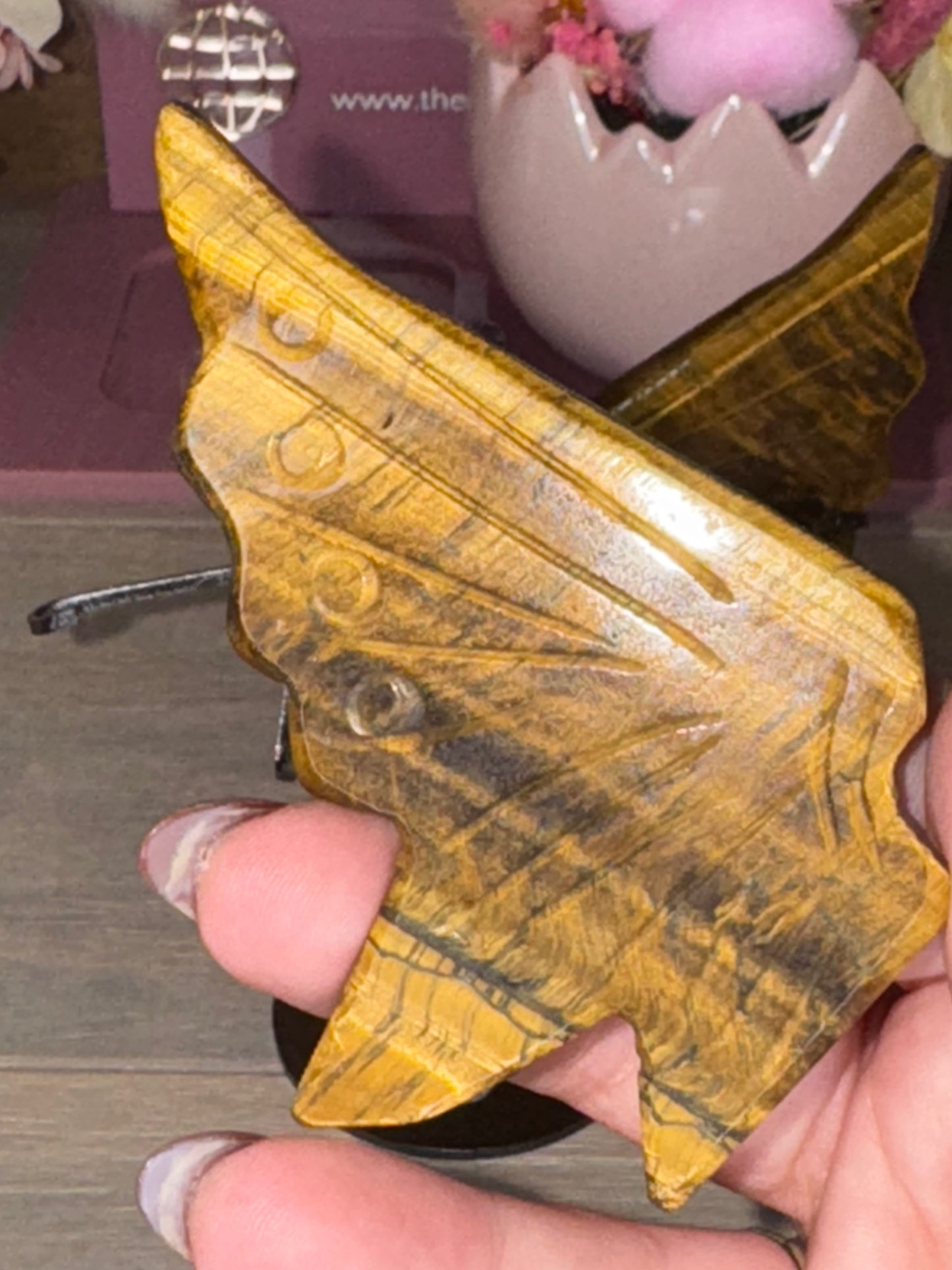 Tigers Eye Butterfly Wings (W44)